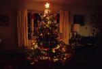 Holiday-Christmas 50-05-00376