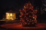 Holiday-Christmas 50-05-00733