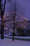 Holiday-Christmas 50-05-01133