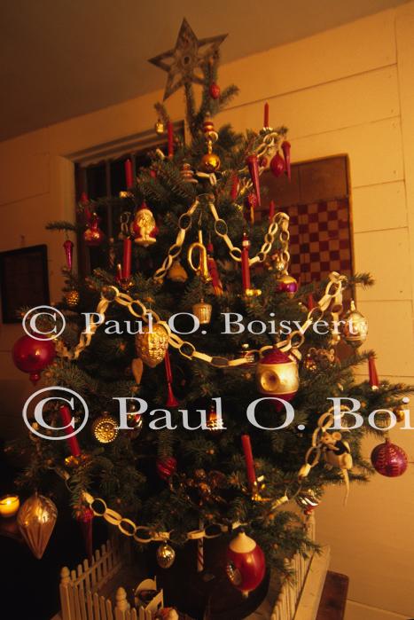 Holiday-Christmas 50-05-01202