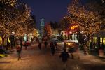 Holiday-Christmas 50-05-01203