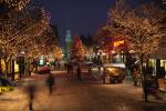 Holiday-Christmas 50-05-01206