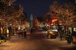 Holiday-Christmas 50-05-01231