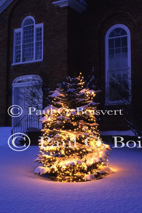 Holiday-Christmas 50-05-01385