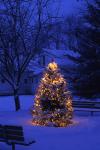 Holiday-Christmas 50-05-01587