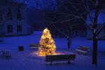 Holiday-Christmas 50-05-01610