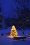 Holiday-Christmas 50-05-01613