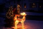 Holiday-Christmas 50-05-01698