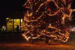 Holiday-Christmas 50-05-01736