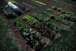 Farm-Garden 30-15-00007