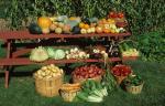 Farm-Garden 30-15-00140