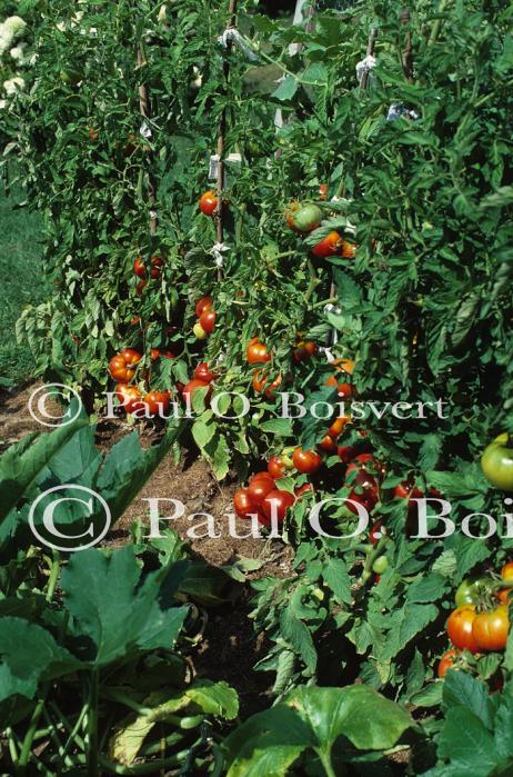 Farm-Garden 30-15-00150