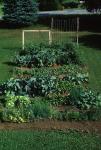 Farm-Garden 30-15-00151