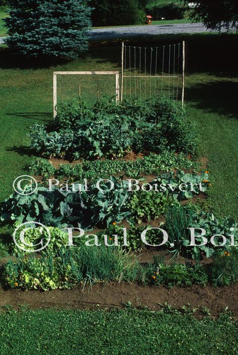 Farm-Garden 30-15-00151