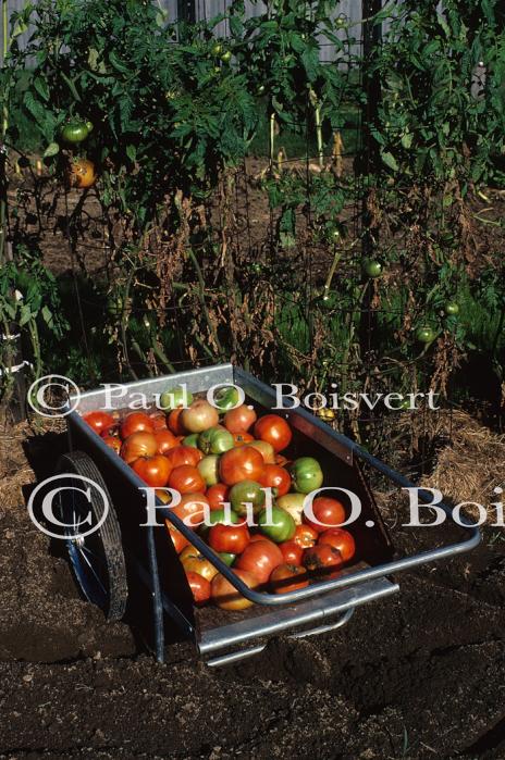 Farm-Garden 30-15-00153