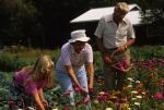 Farm-Garden 30-15-00385