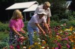 Farm-Garden 30-15-00388