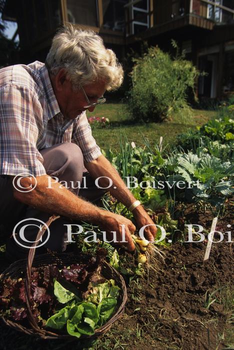 Farm-Garden 30-15-00771