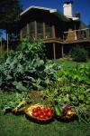 Farm-Garden 30-15-01303