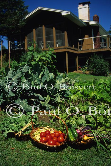 Farm-Garden 30-15-01303