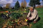 Farm-Garden 30-15-01799