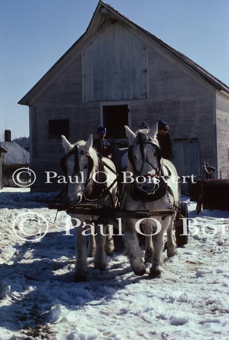 Farm-Spring 30-30-00185