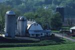 Farm-Spring 30-30-00237