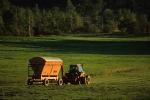 Farm-Summer 30-35-00226