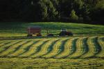 Farm-Summer 30-35-00227