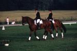Sports-Horseback 75-30-00109