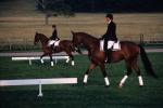 Sports-Horseback 75-30-00128