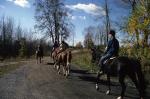 Sports-Horseback 75-30-00179