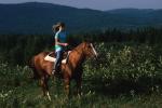 Sports-Horseback 75-30-00278