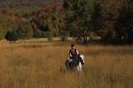 Sports-Horseback 75-30-00554