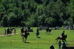 Sports-Horseback 75-30-00619