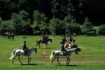 Sports-Horseback 75-30-00621