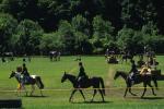 Sports-Horseback 75-30-00622