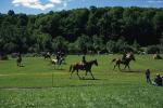 Sports-Horseback 75-30-00629