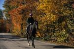 Sports-Horseback 75-30-00670