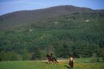 Sports-Horseback 75-30-00753