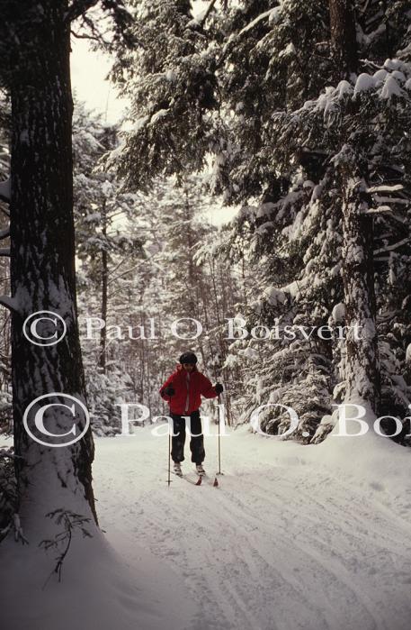 Sports-X-C Ski 75-19-00251