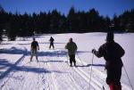 Sports-X-C Ski 75-19-00539