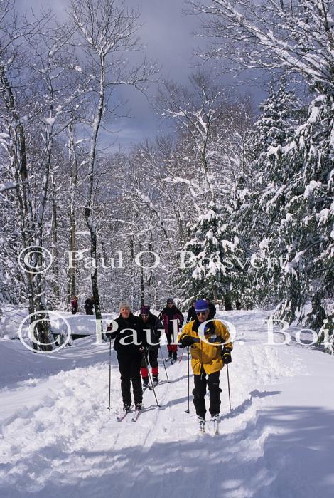 Sports-X-C Ski 75-19-02133