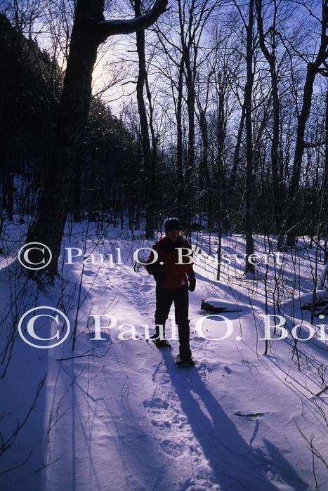 Sports-Snowshoe 75-58-00131