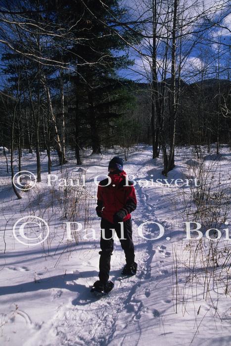 Sports-Snowshoe 75-58-00146