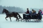 Sports-Sleighride 75-56-00408