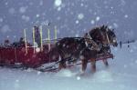 Sports-Sleighride 75-56-00781