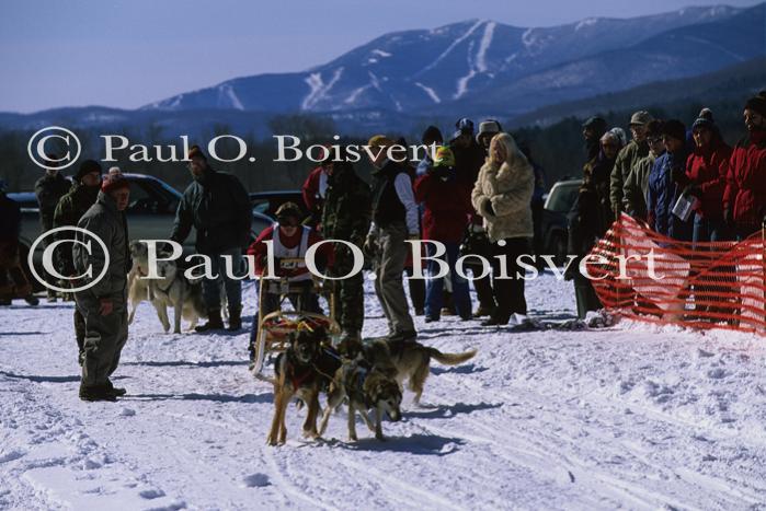 Sports-Dogsled 75-22-00006