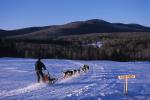 Dog Sledding