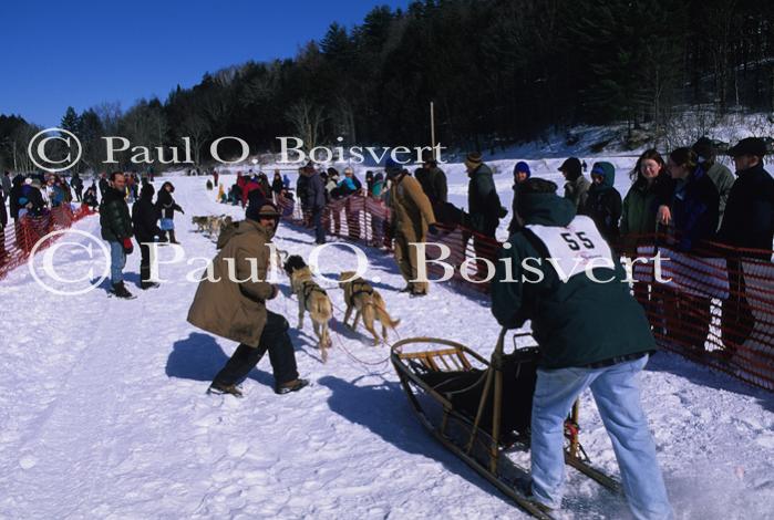 Sports-Dogsled 75-22-00033